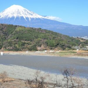 新築一戸建ての現地販売会の舞台裏をレポートいたします！